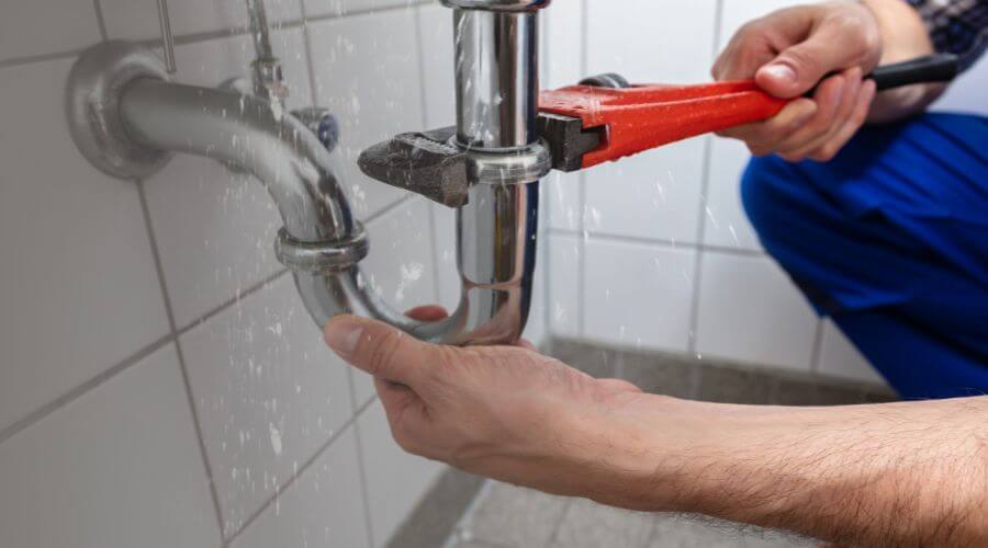 Leak Detection Services in Sacred Heart, MN